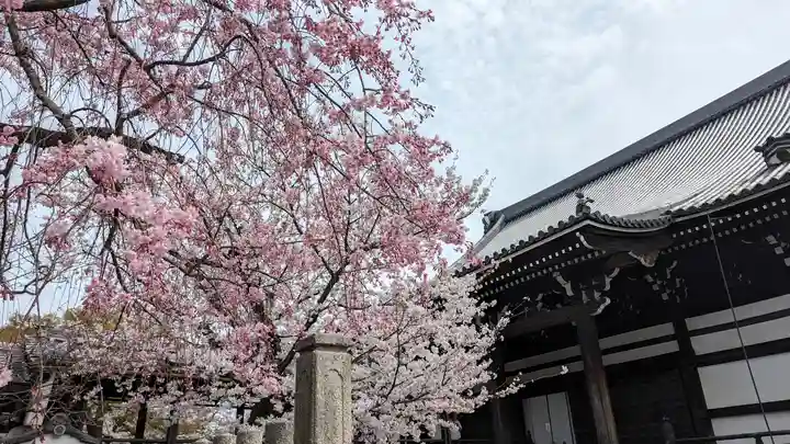 妙顯寺(妙顕寺)(京都府)