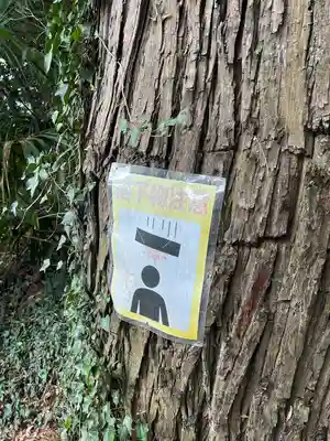 素鵞熊野神社(茨城県)