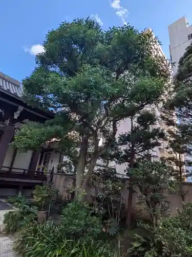 善照寺(東京都)