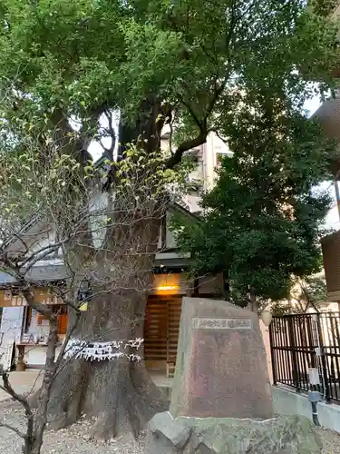 上目黒氷川神社(東京都)