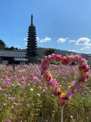 般若寺 ❁コスモス寺❁の塔