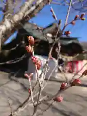 賀羅加波神社の自然