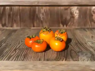 木舟山　順教寺(広島県)