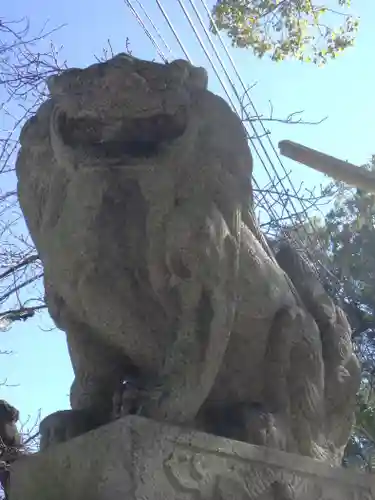 藤森神社の狛犬