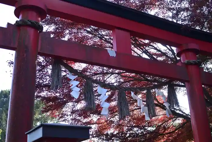 高尾山薬王院(東京都)