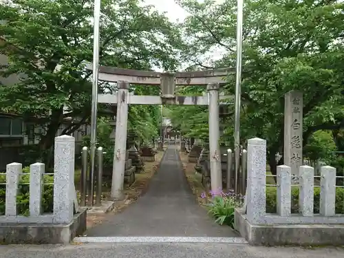 白髭神社の鳥居