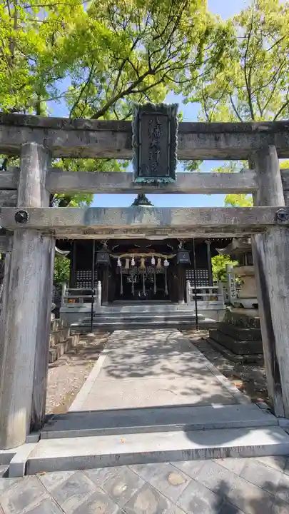 總鎮守八幡神社(愛媛県)