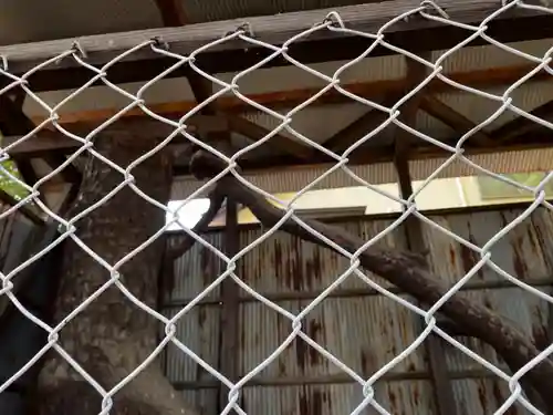 三島大明神社の自然