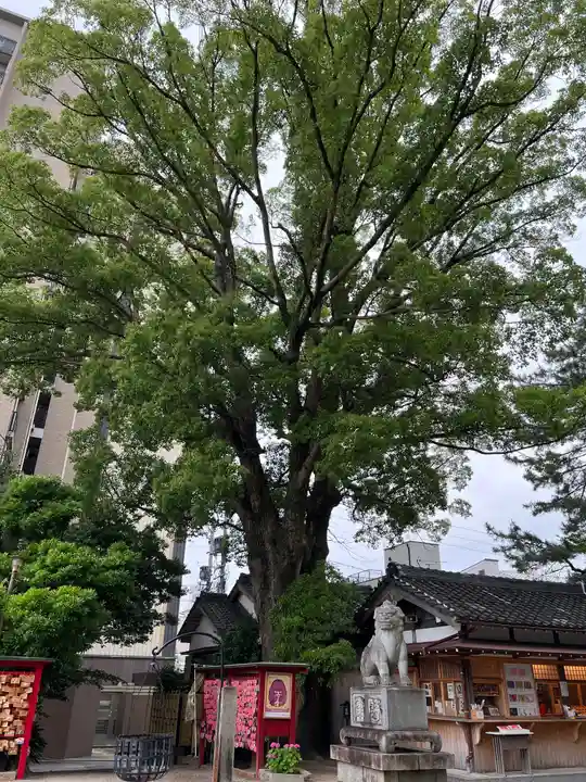 菅生神社(愛知県)