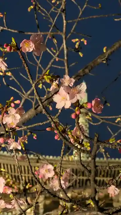 東寺(教王護国寺)(京都府)