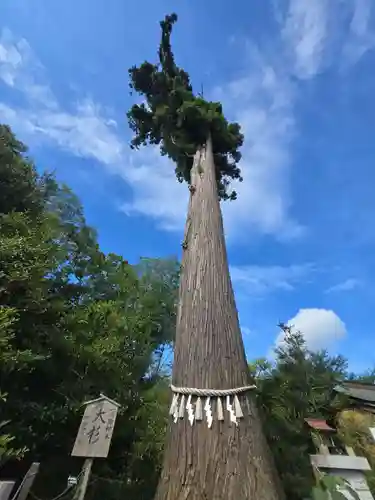 鶴峯八幡宮(千葉県)