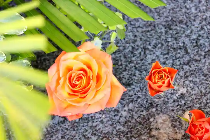 三津厳島神社の手水舎