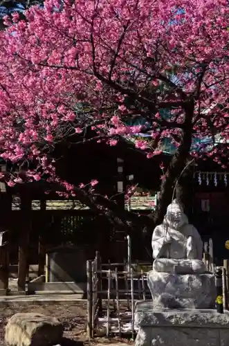 荏原神社の自然