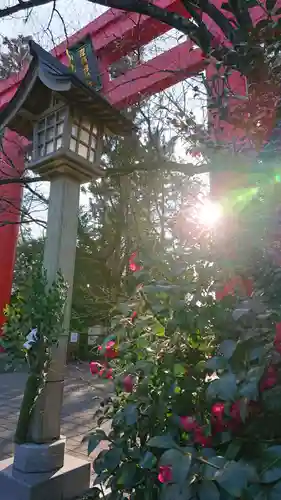 冠稲荷神社の鳥居