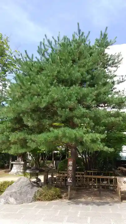 四柱神社の自然