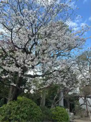東陽院(東京都)