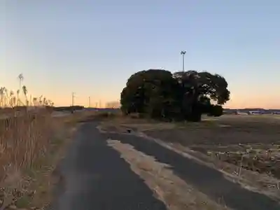 八幡神社(千葉県)