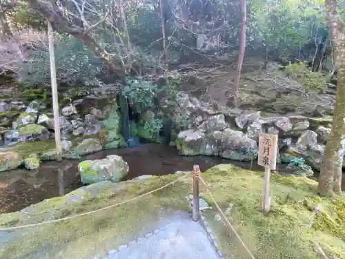 慈照寺（慈照禅寺・銀閣寺）の{uncategorized: "未分類", other: "その他", undefined: "問題あり", building: "その他建物", grave: "お墓", sacred_gate: "鳥居", guardian: "狛犬", statue: "像", buddha: "仏像", history: "歴史", nature: "自然", garden: "庭園", animal: "動物", pagoda: "塔", temizu: "手水舎", mountain_gate: "山門・神門", sanctuary: "本殿・本堂", subordinate: "末社・摂社", art: "芸術", scenery: "景色", jizo: "地蔵", ema: "絵馬", goshuin: "御朱印", omikuji: "おみくじ", items: "授与品その他", amulet: "お守り", goshuincho: "御朱印帳", eats: "食事", festival: "お祭り", votive_dance: "神楽", shichigosan: "七五三参", wedding: "結婚式", experience: "体験その他", initially: "初詣", around: "周辺", anti_infection: "感染症対策"}