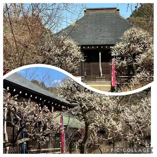 本土寺(千葉県)