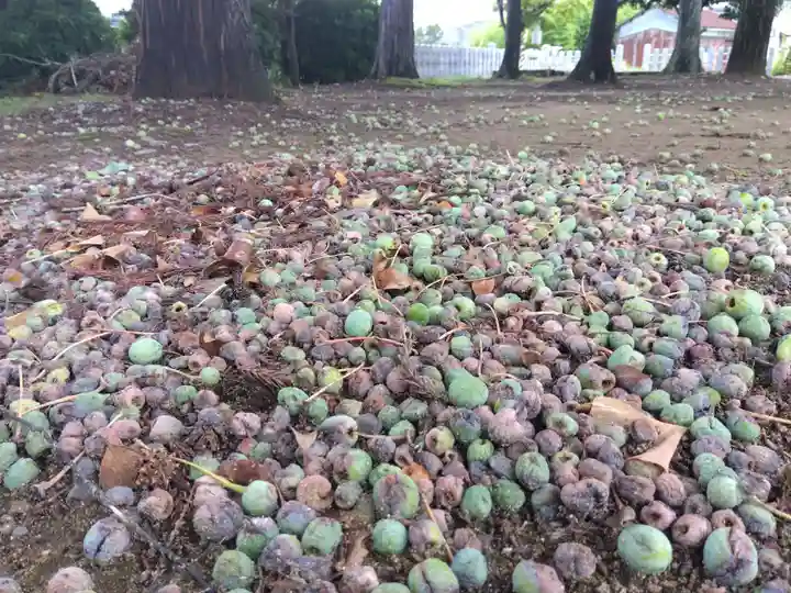 春日神社(福井県)