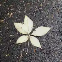 高岡神社(岡山県)