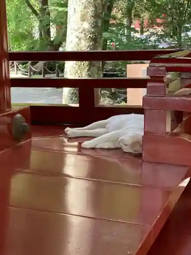 伊豆山神社(静岡県)