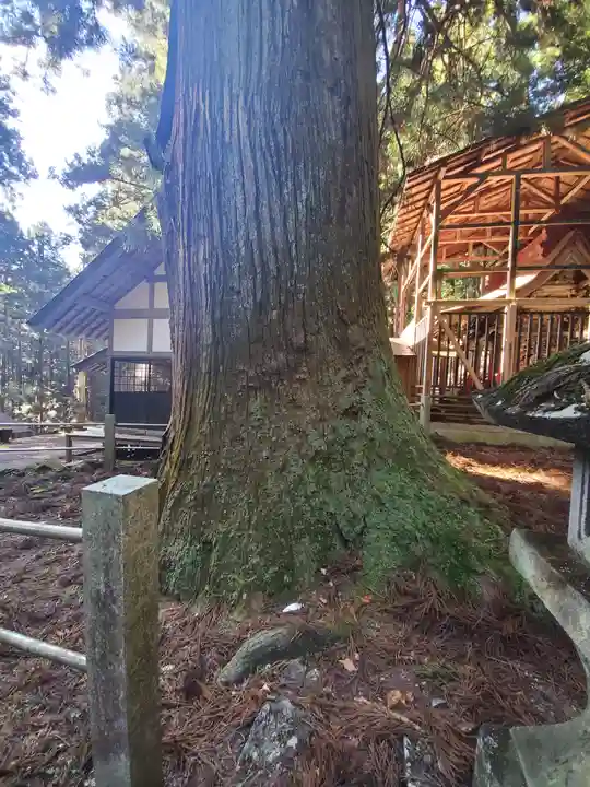 栗生神社の自然