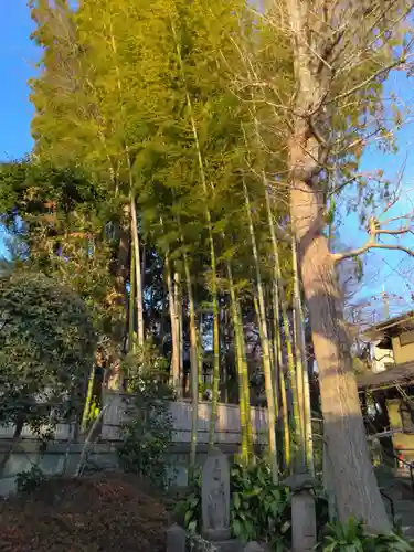 東運寺(東京都)