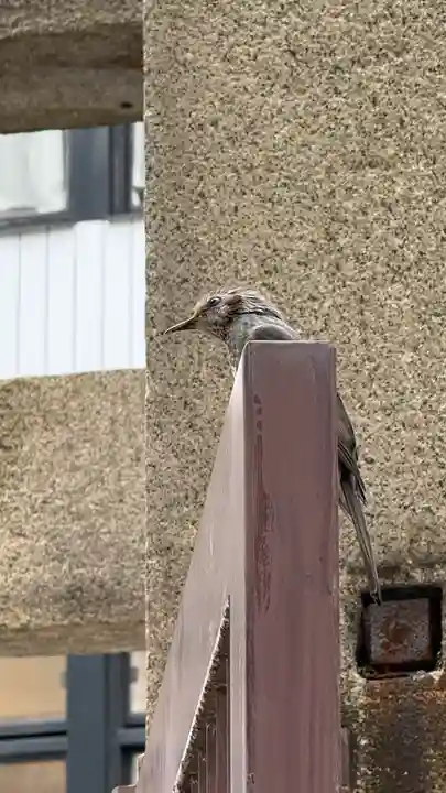 難波神社(大阪府)