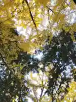 積田神社の{uncategorized: "未分類", other: "その他", undefined: "問題あり", building: "その他建物", grave: "お墓", sacred_gate: "鳥居", guardian: "狛犬", statue: "像", buddha: "仏像", history: "歴史", nature: "自然", garden: "庭園", animal: "動物", pagoda: "塔", temizu: "手水舎", mountain_gate: "山門・神門", sanctuary: "本殿・本堂", subordinate: "末社・摂社", art: "芸術", scenery: "景色", jizo: "地蔵", ema: "絵馬", goshuin: "御朱印", omikuji: "おみくじ", items: "授与品その他", amulet: "お守り", goshuincho: "御朱印帳", eats: "食事", festival: "お祭り", votive_dance: "神楽", shichigosan: "七五三参", wedding: "結婚式", experience: "体験その他", initially: "初詣", around: "周辺", anti_infection: "感染症対策"}