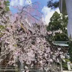 豊景神社の自然