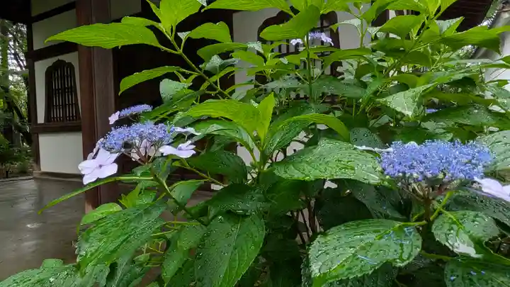 真正極楽寺(真如堂)(京都府)