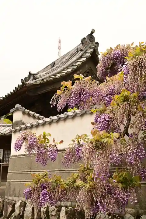 長泉寺(埼玉県)