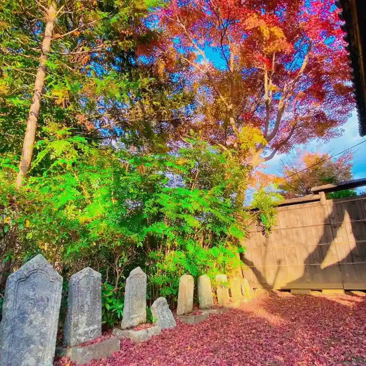 久米寺(奈良県)