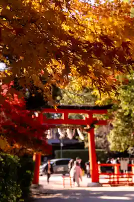 賀茂別雷神社（上賀茂神社）(京都府)