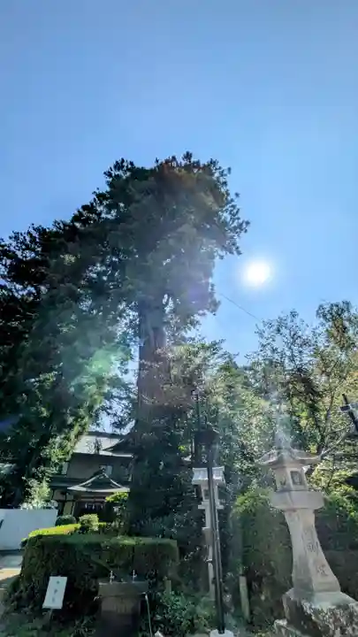 香取神宮(千葉県)