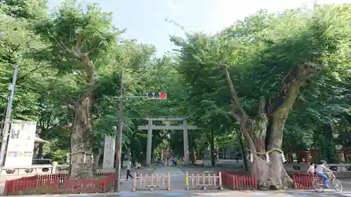 大國魂神社の鳥居