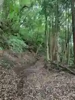 琴平神社(千葉県)