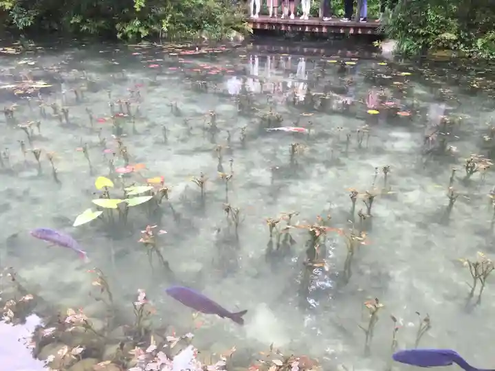 根道神社の動物