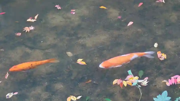 鳥取東照宮(旧樗谿神社)(鳥取県)