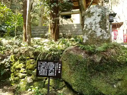 龍蔵寺のその他建物