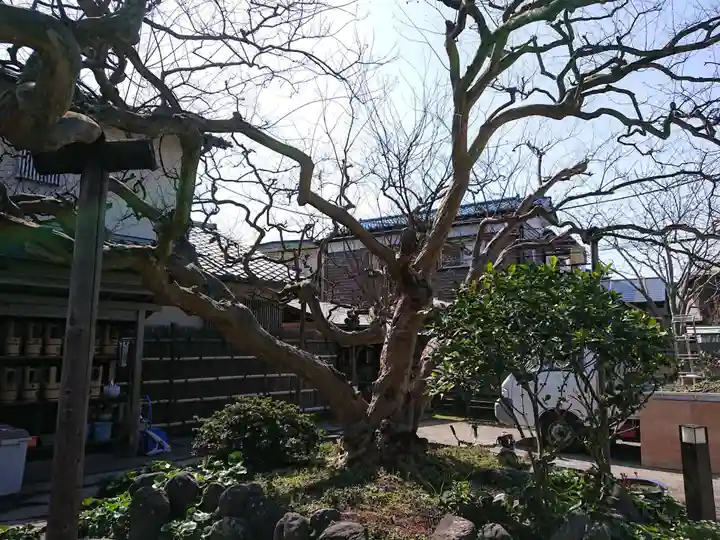 補陀洛寺の自然