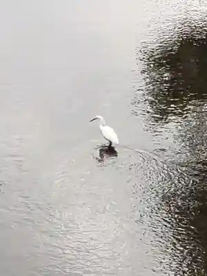 下高井戸八幡神社(東京都)