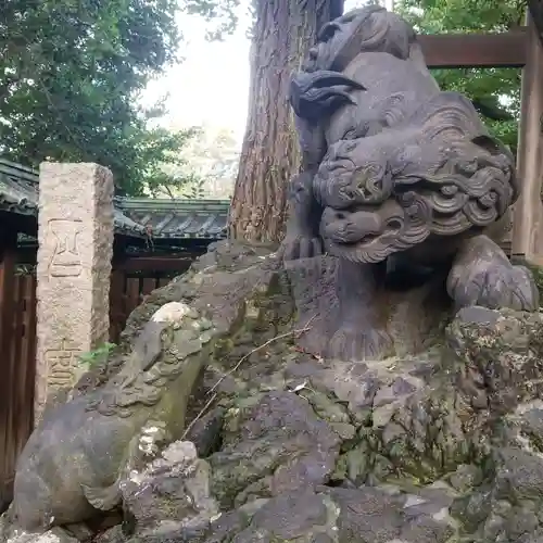 牛嶋神社の狛犬