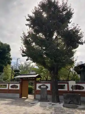 天妙国寺(東京都)