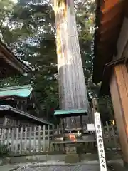 事任八幡宮の自然