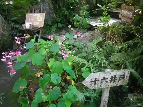 海蔵寺の庭園