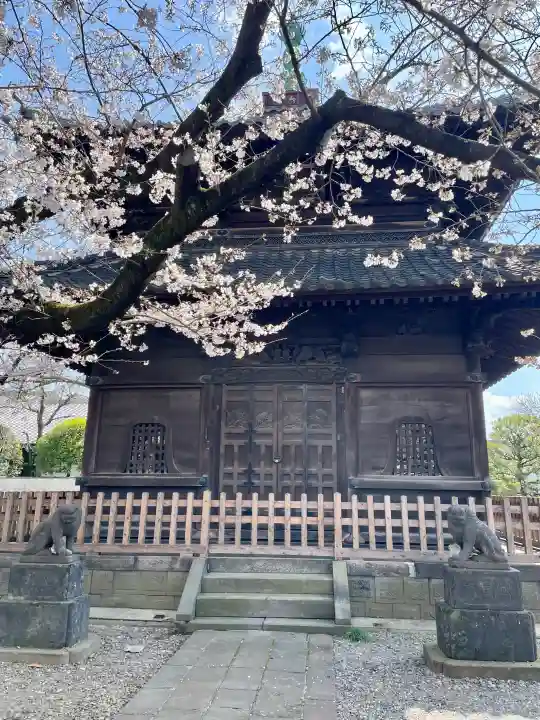吉祥寺の{uncategorized: "未分類", other: "その他", undefined: "問題あり", building: "その他建物", grave: "お墓", sacred_gate: "鳥居", guardian: "狛犬", statue: "像", buddha: "仏像", history: "歴史", nature: "自然", garden: "庭園", animal: "動物", pagoda: "塔", temizu: "手水舎", mountain_gate: "山門・神門", sanctuary: "本殿・本堂", subordinate: "末社・摂社", art: "芸術", scenery: "景色", jizo: "地蔵", ema: "絵馬", goshuin: "御朱印", omikuji: "おみくじ", items: "授与品その他", amulet: "お守り", goshuincho: "御朱印帳", eats: "食事", festival: "お祭り", votive_dance: "神楽", shichigosan: "七五三参", wedding: "結婚式", experience: "体験その他", initially: "初詣", around: "周辺", anti_infection: "感染症対策"}