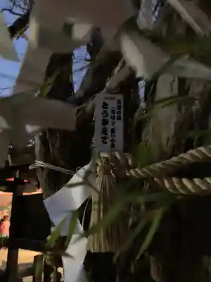 住吉神社(兵庫県)