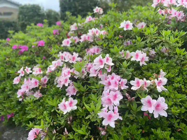 大生郷天満宮(茨城県)